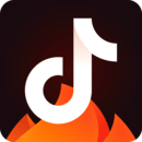 抖音火山版 应用图标