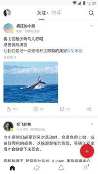 应用截图