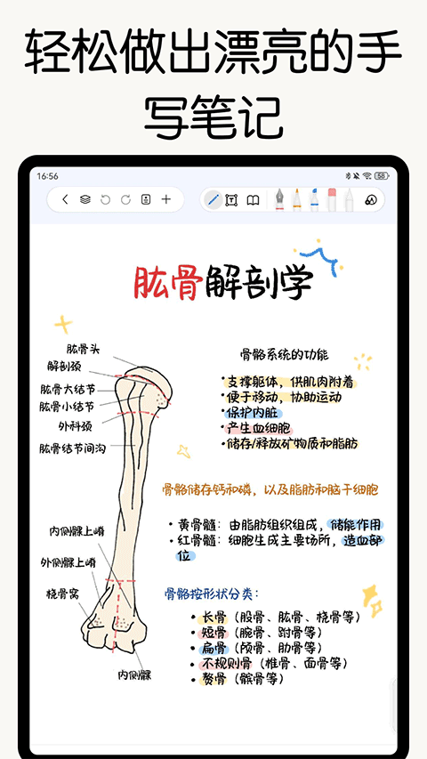 应用截图